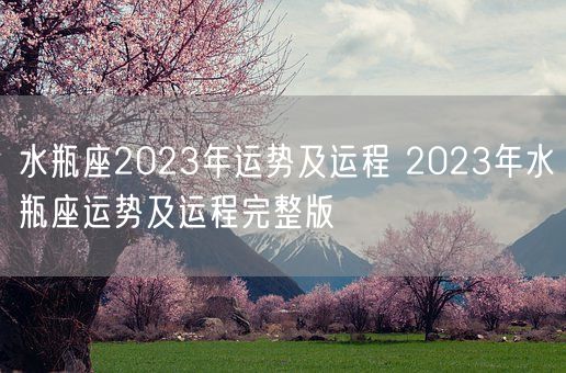 水瓶座2023年运势及运程 2023年水瓶座运势及运程完整版(图1)