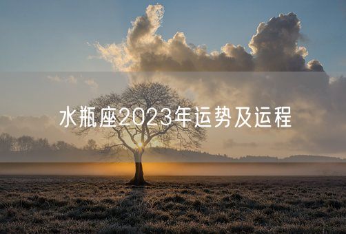 水瓶座2023年运势及运程(图1)