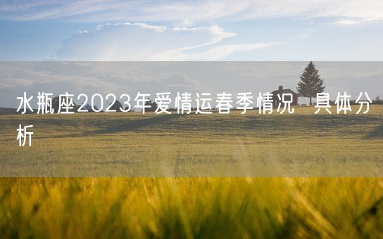 水瓶座2023年爱情运春季情况  具体分析(图1)