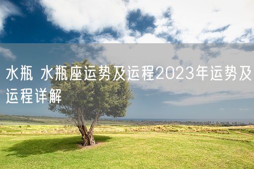 水瓶 水瓶座运势及运程2023年运势及运程详解 (图1)