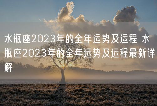 水瓶座2023年的全年运势及运程 水瓶座2023年的全年运势及运程最新详解(图1)