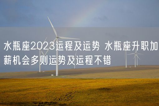 水瓶座2023运程及运势 水瓶座升职加薪机会多则运势及运程不错(图1)