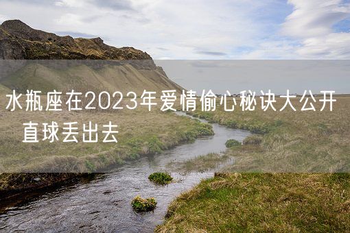 水瓶座在2023年爱情偷心秘诀大公开   直球丢出去(图1)