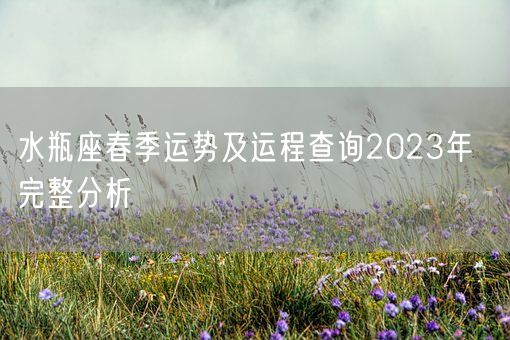 水瓶座春季运势及运程查询2023年  完整分析(图1)