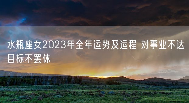 水瓶座女2023年全年运势及运程 对事业不达目标不罢休(图1)