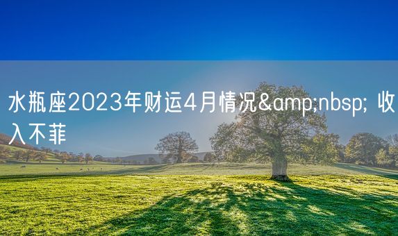 水瓶座2023年财运4月情况&nbsp; 收入不菲    (图1)