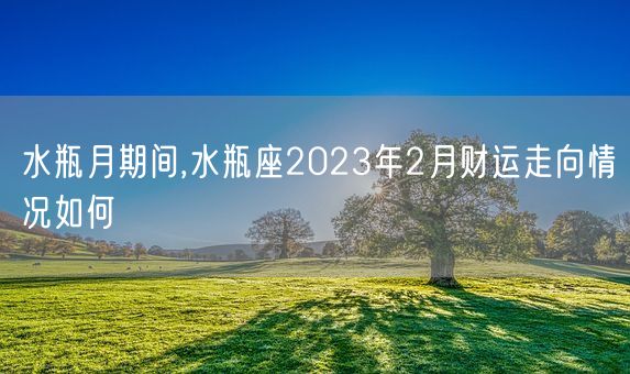 水瓶月期间,水瓶座2023年2月财运走向情况如何(图1)