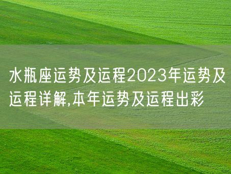 水瓶座运势及运程2023年运势及运程详解,本年运势及运程出彩(图1)