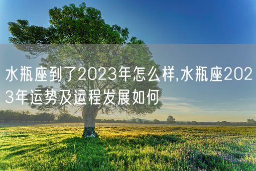 水瓶座到了2023年怎么样,水瓶座2023年运势及运程发展如何(图1)