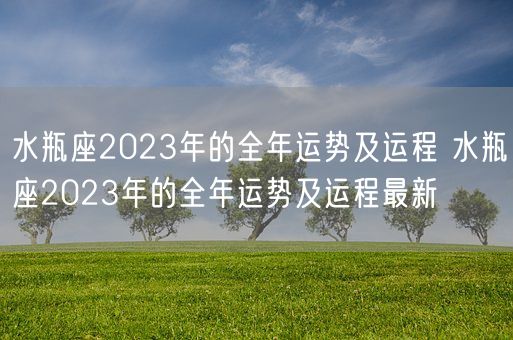 水瓶座2023年的全年运势及运程 水瓶座2023年的全年运势及运程最新(图1)