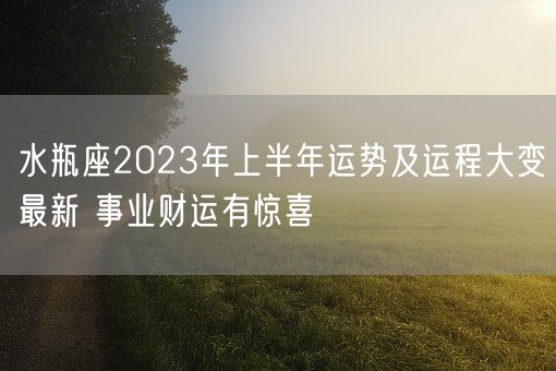 水瓶座2023年上半年运势及运程大变最新 事业财运有惊喜(图1)