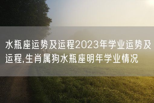 水瓶座运势及运程2023年学业运势及运程,生肖属狗水瓶座明年学业情况(图1)