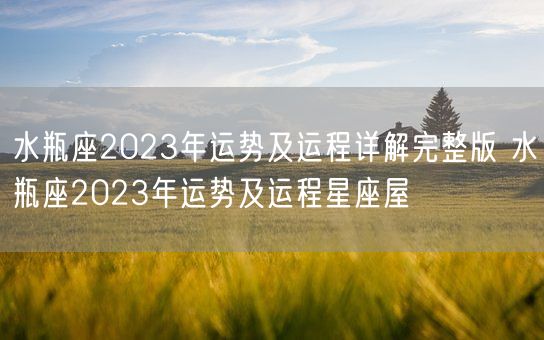 水瓶座2023年运势及运程详解完整版 水瓶座2023年运势及运程星座屋 (图1)