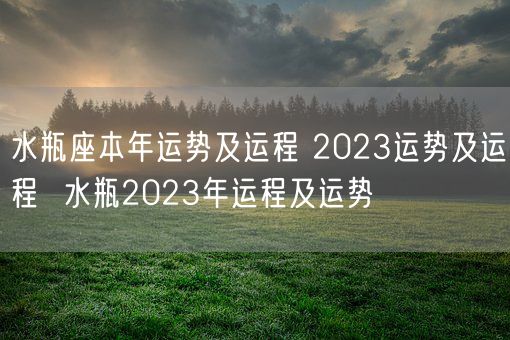 水瓶座本年运势及运程 2023运势及运程  水瓶2023年运程及运势(图1)