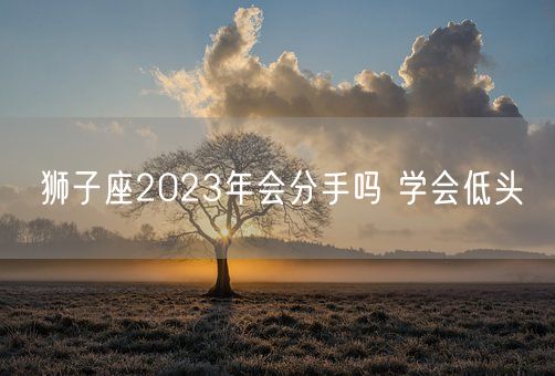 狮子座2023年会分手吗 学会低头(图1)