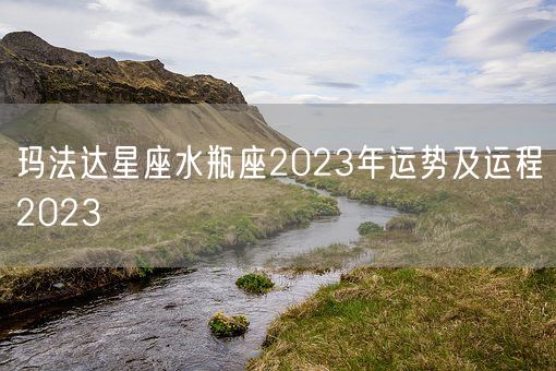 玛法达星座水瓶座2023年运势及运程2023(图1)