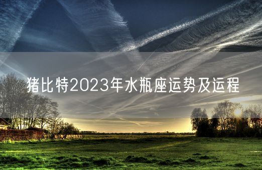 猪比特2023年水瓶座运势及运程(图1)