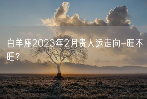 白羊座2023年2月贵人运走向-旺不旺？    (图1)