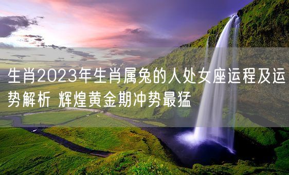 生肖2023年生肖属兔的人处女座运程及运势解析 辉煌黄金期冲势最猛(图1)