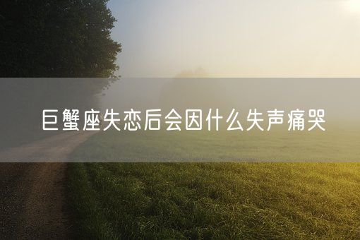 巨蟹座失恋后会因什么失声痛哭(图1)