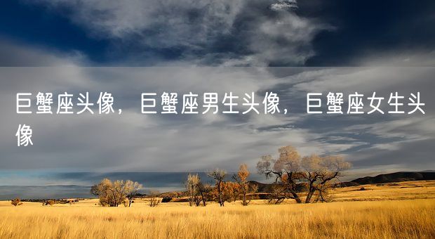 巨蟹座头像，巨蟹座男生头像，巨蟹座女生头像(图1)