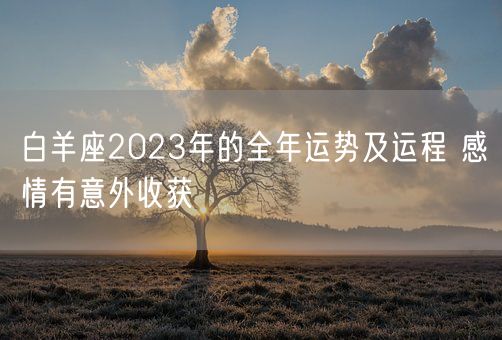 白羊座2023年的全年运势及运程 感情有意外收获(图1)