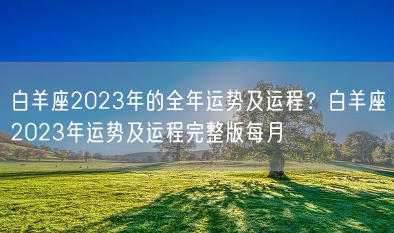 白羊座2023年的全年运势及运程？白羊座2023年运势及运程完整版每月(图1)