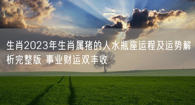 生肖2023年生肖属猪的人水瓶座运程及运势解析完整版 事业财运双丰收(图1)