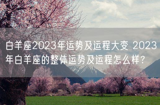 白羊座2023年运势及运程大变 2023年白羊座的整体运势及运程怎么样？(图1)