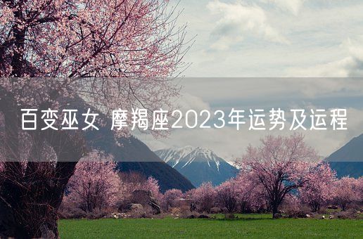 百变巫女 摩羯座2023年运势及运程(图1)