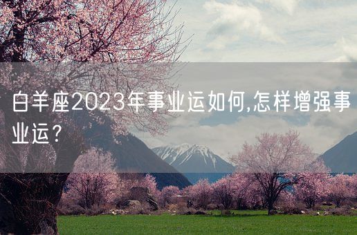 白羊座2023年事业运如何,怎样增强事业运？(图1)