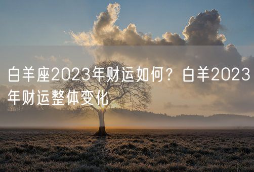 白羊座2023年财运如何？白羊2023年财运整体变化(图1)