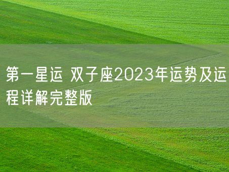 第一星运 双子座2023年运势及运程详解完整版(图1)