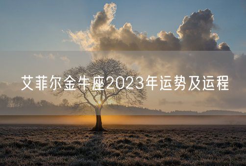 艾菲尔金牛座2023年运势及运程(图1)