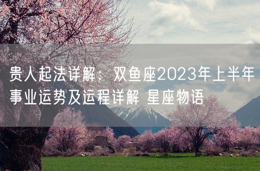 贵人起法详解：双鱼座2023年上半年事业运势及运程详解 星座物语(图1)