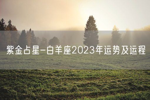 紫金占星-白羊座2023年运势及运程(图1)