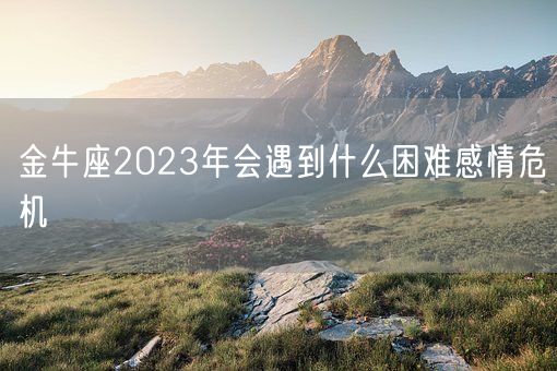 金牛座2023年会遇到什么困难感情危机(图1)