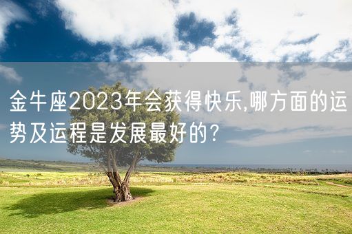 金牛座2023年会获得快乐,哪方面的运势及运程是发展最好的？(图1)