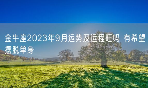 金牛座2023年9月运势及运程旺吗 有希望摆脱单身(图1)