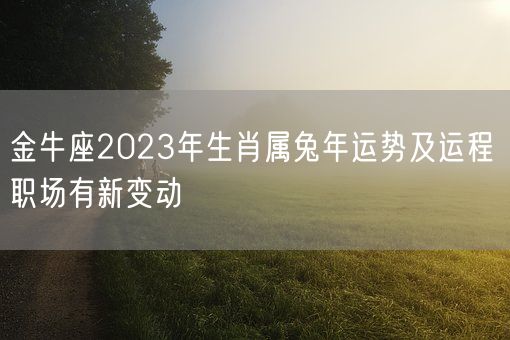 金牛座2023年生肖属兔年运势及运程 职场有新变动(图1)