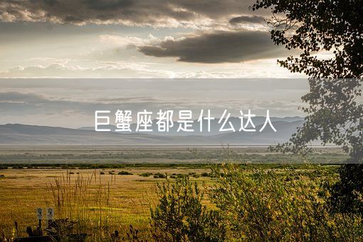 巨蟹座都是什么达人(图1)