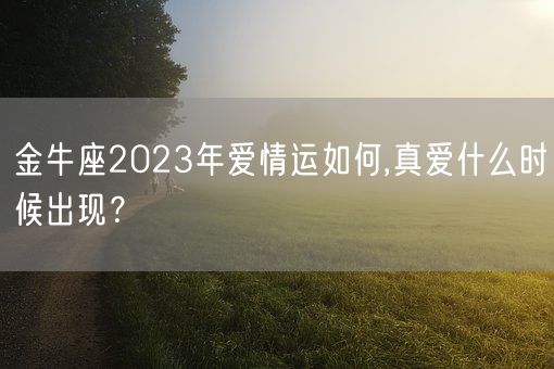 金牛座2023年爱情运如何,真爱什么时候出现？(图1)