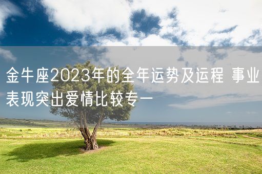 金牛座2023年的全年运势及运程 事业表现突出爱情比较专一(图1)