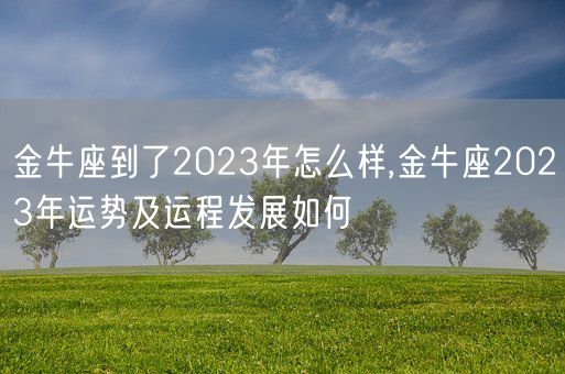 金牛座到了2023年怎么样,金牛座2023年运势及运程发展如何(图1)