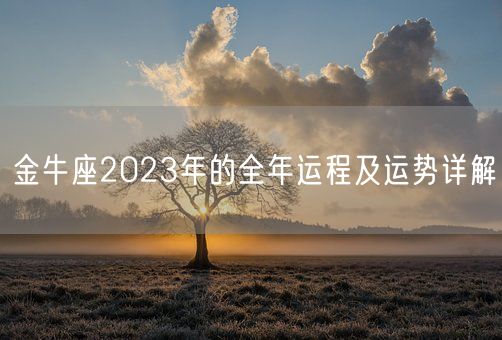 金牛座2023年的全年运程及运势详解(图1)