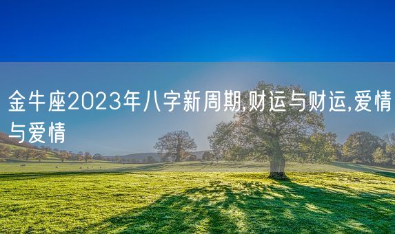 金牛座2023年八字新周期,财运与财运,爱情与爱情(图1)