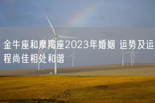 金牛座和摩羯座2023年婚姻 运势及运程尚佳相处和谐(图1)