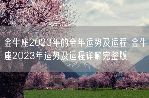 金牛座2023年的全年运势及运程 金牛座2023年运势及运程详解完整版(图1)