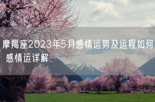 摩羯座2023年5月感情运势及运程如何 感情运详解(图1)