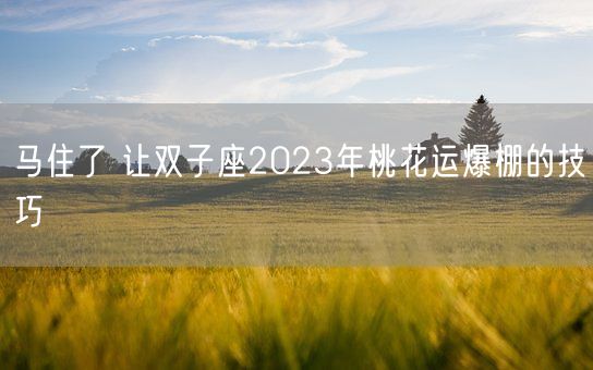 马住了 让双子座2023年桃花运爆棚的技巧(图1)